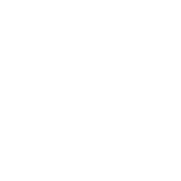 sale_icon